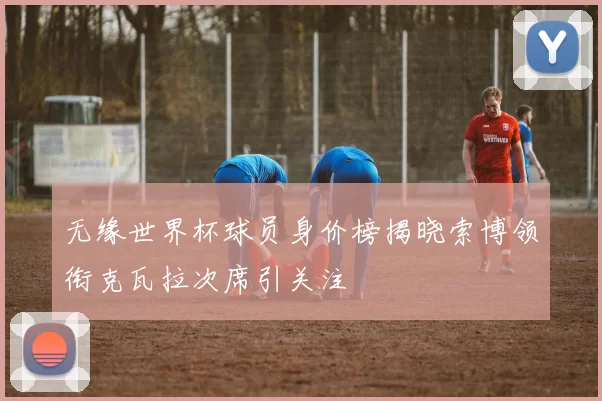 无缘世界杯球员身价榜揭晓索博领衔克瓦拉次席引关注