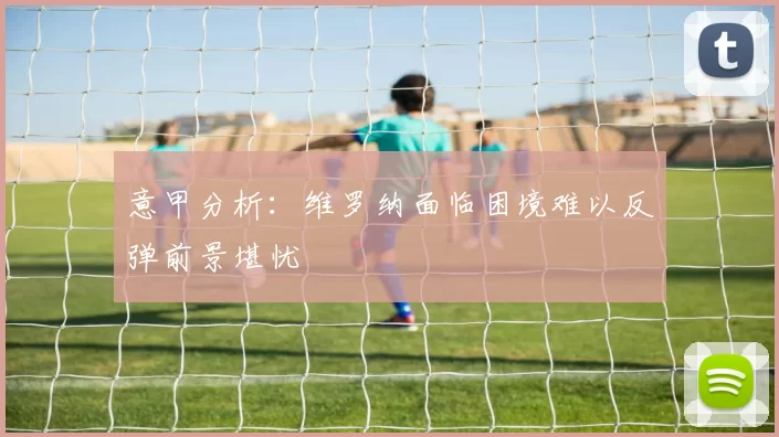 意甲分析：维罗纳面临困境难以反弹前景堪忧