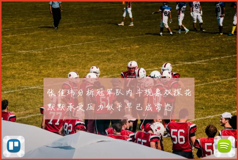 张佳玮分析冠军队内斗现象双探花默默承受压力似乎早已成常态