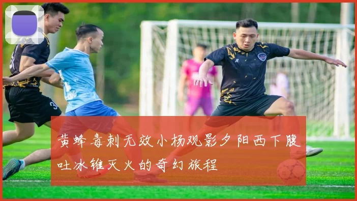 黄蜂毒刺无效小杨观影夕阳西下腹吐冰锥灭火的奇幻旅程
