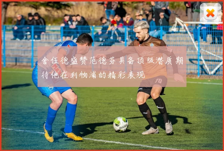 舍伍德盛赞范德芬具备顶级潜质期待他在利物浦的精彩表现